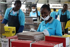 在肯尼亞，我們有一個(gè)中肯齊心合力的團(tuán)隊(duì)